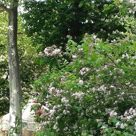 Oda ve Kahvaltı Ranelagh Auteuil *